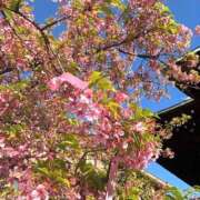 ヒメ日記 2026/03/11 08:16 投稿 目黒あいな MADAM