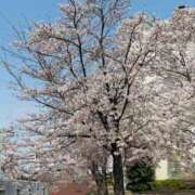 ヒメ日記 2026/04/03 21:46 投稿 目黒あいな MADAM