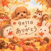 ヒメ日記 2026/09/12 01:31 投稿 目黒あいな MADAM