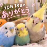 ヒメ日記 2026/10/18 23:16 投稿 目黒あいな MADAM