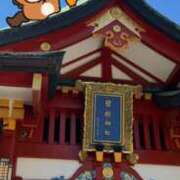 ヒメ日記 2026/01/06 13:16 投稿 西木野りりか MADAM