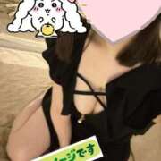 ヒメ日記 2026/01/17 12:16 投稿 西木野りりか MADAM