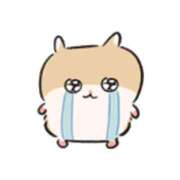 ヒメ日記 2026/01/20 08:16 投稿 西木野りりか MADAM