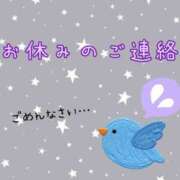 白石まりか ごめんなさい? MADAM