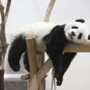 ヒメ日記 2025/12/17 10:01 投稿 夏木れみ MADAM