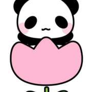 ヒメ日記 2026/01/17 10:31 投稿 夏木れみ MADAM