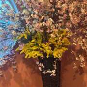 ヒメ日記 2026/03/08 22:16 投稿 夏木れみ MADAM