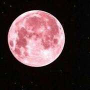 ヒメ日記 2026/04/02 23:46 投稿 夏木れみ MADAM