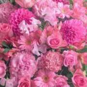 ヒメ日記 2026/05/29 06:31 投稿 夏木れみ MADAM