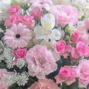 ヒメ日記 2026/06/09 06:01 投稿 夏木れみ MADAM