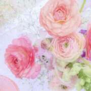 夏木れみ おはよう…☆☆☆ MADAM