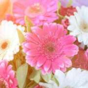 ヒメ日記 2026/09/05 05:31 投稿 夏木れみ MADAM