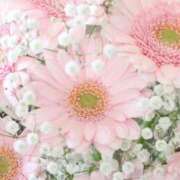 ヒメ日記 2026/09/08 04:31 投稿 夏木れみ MADAM