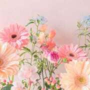 ヒメ日記 2026/09/15 06:01 投稿 夏木れみ MADAM