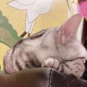 ヒメ日記 2026/02/22 19:16 投稿 池上まさえ MADAM