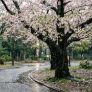ヒメ日記 2026/03/25 19:16 投稿 池上まさえ MADAM