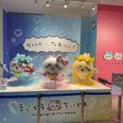 ヒメ日記 2025/12/18 07:31 投稿 伊藤まゆ MADAM