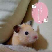 ヒメ日記 2026/03/06 11:01 投稿 伊藤まゆ MADAM