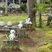 ヒメ日記 2026/05/18 07:46 投稿 伊藤まゆ MADAM