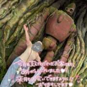 ヒメ日記 2026/07/31 23:46 投稿 伊藤まゆ MADAM