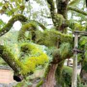ヒメ日記 2026/08/20 14:16 投稿 伊藤まゆ MADAM