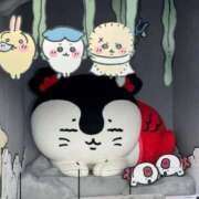 ヒメ日記 2026/09/25 19:02 投稿 伊藤まゆ MADAM