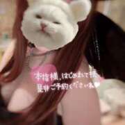 伊藤まゆ |*?ω?)??? MADAM