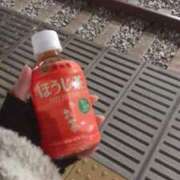 ヒメ日記 2026/01/28 05:16 投稿 西野さやな MADAM