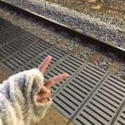 ヒメ日記 2026/04/01 05:16 投稿 西野さやな MADAM