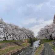 ヒメ日記 2026/04/06 18:31 投稿 早坂ゆうり MADAM