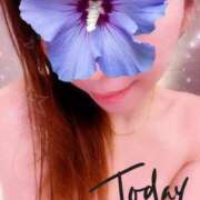 ヒメ日記 2025/12/20 10:01 投稿 桐ヶ谷あみ MADAM