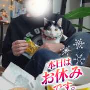 ヒメ日記 2025/12/19 10:31 投稿 村田なおみ MADAM