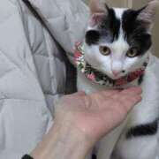 ヒメ日記 2025/12/19 18:16 投稿 村田なおみ MADAM