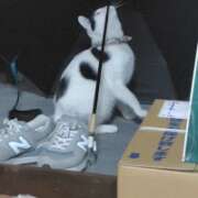 ヒメ日記 2026/01/07 16:31 投稿 村田なおみ MADAM