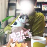 ヒメ日記 2026/01/08 15:31 投稿 村田なおみ MADAM