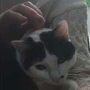 ヒメ日記 2026/01/15 10:16 投稿 村田なおみ MADAM