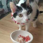 ヒメ日記 2026/01/16 17:31 投稿 村田なおみ MADAM