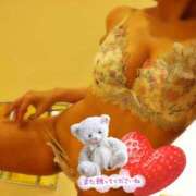 ヒメ日記 2026/01/30 15:46 投稿 村田なおみ MADAM