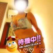 ヒメ日記 2026/02/07 08:16 投稿 村田なおみ MADAM