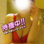 ヒメ日記 2026/03/28 07:46 投稿 村田なおみ MADAM