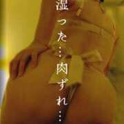 ヒメ日記 2026/04/07 23:16 投稿 村田なおみ MADAM