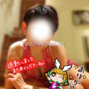ヒメ日記 2026/05/15 17:16 投稿 村田なおみ MADAM