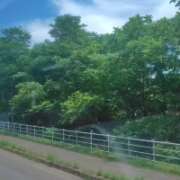 ヒメ日記 2026/07/17 12:46 投稿 村田なおみ MADAM