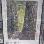ヒメ日記 2026/07/28 12:16 投稿 村田なおみ MADAM