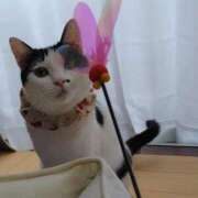 ヒメ日記 2026/08/20 13:16 投稿 村田なおみ MADAM