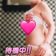 ヒメ日記 2026/08/30 07:31 投稿 村田なおみ MADAM