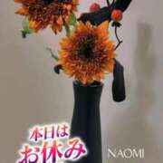ヒメ日記 2026/10/14 21:16 投稿 村田なおみ MADAM