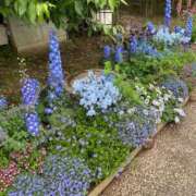 ヒメ日記 2026/01/16 23:46 投稿 星野せりか MADAM