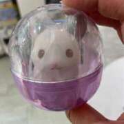 ヒメ日記 2026/02/09 14:46 投稿 笹中ちえ MADAM