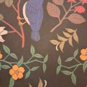 ヒメ日記 2025/12/27 00:01 投稿 小柳りな MADAM